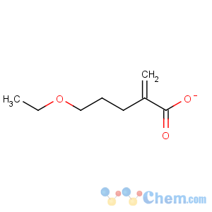 CAS No:51289-08-8 ETHOXYETHYLMETHACRYLATE