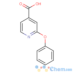 CAS No:51362-08-4 2-phenoxypyridine-4-carboxylic acid