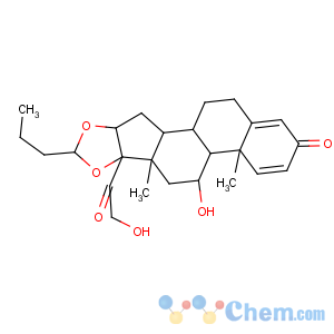 CAS No:51372-29-3 Pregna-1,4-diene-3,20-dione,16,17-[(1R)-butylidenebis(oxy)]-11,21-dihydroxy-, (11b,16a)-