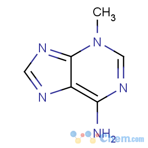 CAS No:5142-23-4 3-methylpurin-6-amine