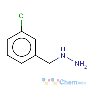 CAS No:51421-12-6 (3-chloro-benzyl)-hydrazine