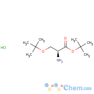 CAS No:51537-21-4 L-Serine,O-(1,1-dimethylethyl)-, 1,1-dimethylethyl ester, hydrochloride (1:1)