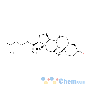 CAS No:516-95-0 5-alpha-cholestan-3-alpha-ol