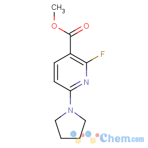 CAS No:51607-16-0 methyl 2-fluoro-6-pyrrolidin-1-ylpyridine-3-carboxylate