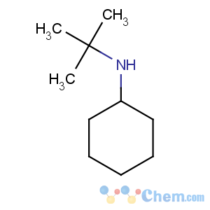 CAS No:51609-06-4 N-tert-butylcyclohexanamine