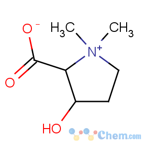 CAS No:51795-35-8 Pyrrolidinium,2-carboxy-3-hydroxy-1,1-dimethyl-, inner salt, (2S)-