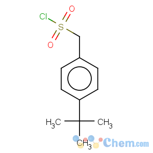 CAS No:519056-61-2 [4-(tert-butyl)phenyl]methanesulfonyl chloride