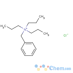 CAS No:5197-87-5 benzyl(tripropyl)azanium