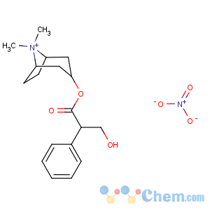 CAS No:52-88-0 (8,8-dimethyl-8-azoniabicyclo[3.2.1]octan-3-yl)<br />3-hydroxy-2-phenylpropanoate