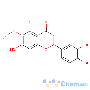 CAS No:520-11-6 2-(3,4-dihydroxyphenyl)-5,7-dihydroxy-6-methoxychromen-4-one