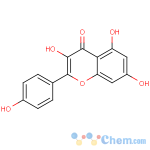 CAS No:520-18-3 3,5,7-trihydroxy-2-(4-hydroxyphenyl)chromen-4-one