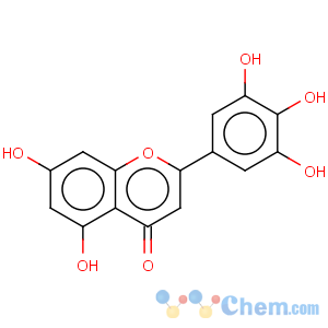 CAS No:520-31-0 4H-1-Benzopyran-4-one,5,7-dihydroxy-2-(3,4,5-trihydroxyphenyl)-