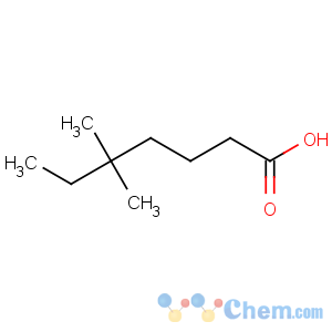 CAS No:52146-21-1 5,5-Dimethylheptanoic acid