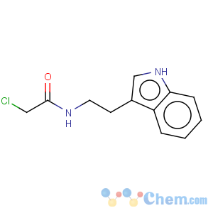 CAS No:52191-26-1 Acetamide,2-chloro-N-[2-(1H-indol-3-yl)ethyl]-