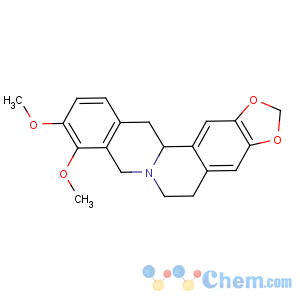 CAS No:522-97-4 Canadine