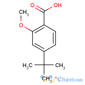 CAS No:52328-48-0 4-tert-butyl-2-methoxybenzoic acid