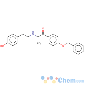 CAS No:52446-73-8 2-[[2-(4-hydroxyphenyl)ethyl]amino]-1-[4-(phenylmethoxy)phenyl]-1-propanone
