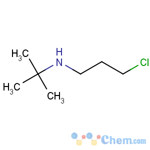 CAS No:52560-90-4 N-(3-chloropropyl)-2-methylpropan-2-amine