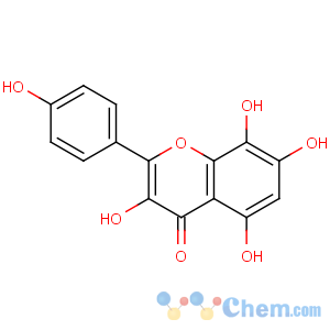 CAS No:527-95-7 3,5,7,8-tetrahydroxy-2-(4-hydroxyphenyl)chromen-4-one