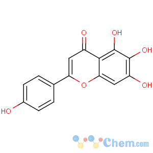 CAS No:529-53-3 5,6,7-trihydroxy-2-(4-hydroxyphenyl)chromen-4-one