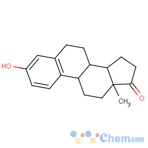 CAS No:53-16-7 (8R,9S,13S,14S)-3-hydroxy-13-methyl-7,8,9,11,12,14,15,<br />16-octahydro-6H-cyclopenta[a]phenanthren-17-one