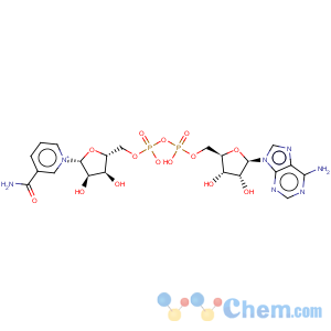 CAS No:53-84-9 beta-Diphosphopyridine nucleotide