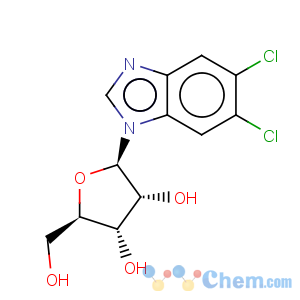 CAS No:53-85-0 1H-Benzimidazole,5,6-dichloro-1-b-D-ribofuranosyl-