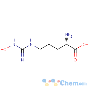 CAS No:53054-07-2 L-Ornithine,N5-[(hydroxyamino)iminomethyl]-