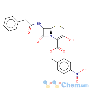 CAS No:53116-50-0 p-nitrobenzyl 7-phenylacetamino-3-hydroxy-3-cephem-4-carboxylate