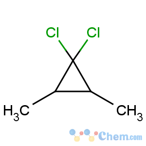 CAS No:53143-77-4 1,1-DICHLORO-2,3-DIMETHYLCYCLOPROPANE