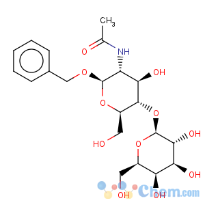CAS No:53167-38-7 benzyl 2-acetamido-2-deoxy-4-o-(beta-d-galactopyranosyl)-beta-d-glucopyranoside