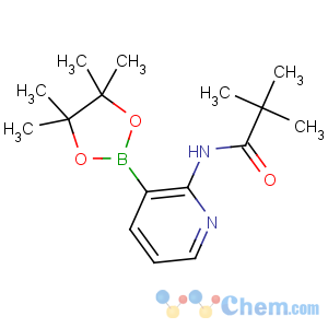 CAS No:532391-30-3 2,2-dimethyl-N-[3-(4,4,5,5-tetramethyl-1,3,<br />2-dioxaborolan-2-yl)pyridin-2-yl]propanamide