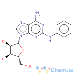 CAS No:53296-10-9 Adenosine,2-(phenylamino)-