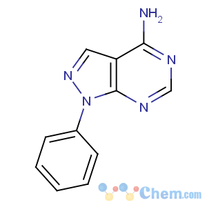 CAS No:5334-30-5 1-phenylpyrazolo[3,4-d]pyrimidin-4-amine