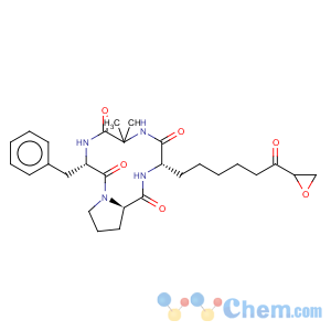 CAS No:53342-16-8 Cyclo[2-methylalanyl-L-phenylalanyl-D-prolyl-(aS,2S)-a-amino-h-oxo-2-oxiraneoctanoyl]