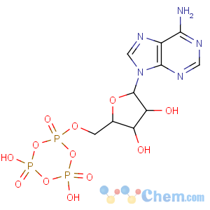 CAS No:53355-60-5 Adenosine,5'-O-(4,6-dihydroxy-2,4,6-trioxido-1,3,5,2,4,6-trioxatriphosphorinan-2-yl)-