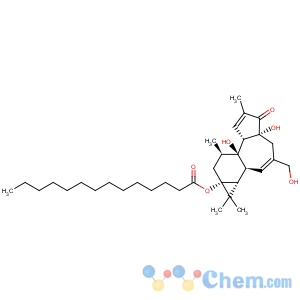 CAS No:53414-26-9 Tetradecanoic acid, (1aR,1bS,4aR,7aS,7bR,8R,9aS)-1,1a,1b,4,4a,5,7a,7b,8,9-decahydro-4a,7b-dihydroxy-3-(hydroxymethyl)-1,1,6,8-tetramethyl-5-oxo-9aH-cyclopropa[3,4]benz[1,2-e]azulen-9a-ylester