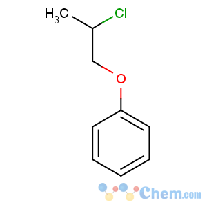 CAS No:53491-30-8 2-chloropropoxybenzene