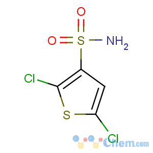 CAS No:53595-68-9 2,5-dichlorothiophene-3-sulfonamide