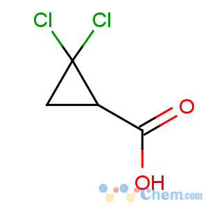 CAS No:5365-14-0 Cyclopropanecarboxylicacid, 2,2-dichloro-
