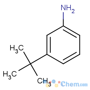 CAS No:5369-19-7 3-tert-butylaniline