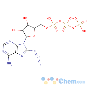 CAS No:53696-59-6 Adenosine5'-(tetrahydrogen triphosphate), 8-azido-
