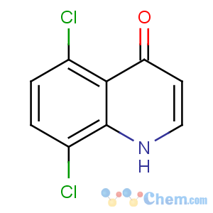 CAS No:53790-82-2 5,8-dichloro-1H-quinolin-4-one