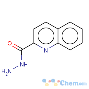CAS No:5382-44-5 quinoline-2-carbohydrazide