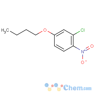 CAS No:5391-56-0 4-butoxy-2-chloro-1-nitrobenzene