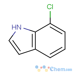 CAS No:53924-05-3 7-chloro-1H-indole