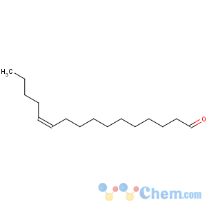 CAS No:53939-28-9 cis-11-hexadecenal