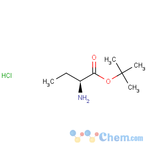 CAS No:53956-05-1 Butanoic acid,2-amino-, 1,1-dimethylethyl ester, hydrochloride (1:1), (2S)-