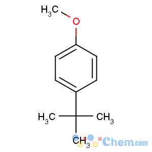 CAS No:5396-38-3 1-tert-butyl-4-methoxybenzene
