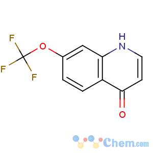 CAS No:53985-75-4 7-(trifluoromethoxy)-1H-quinolin-4-one